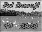 Pri Dunaji